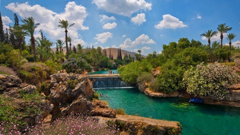 Bijzondere video over de natuur en dieren in Israel “Wild Life in Israel”