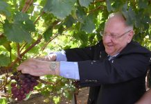 Nieuwe druivensoort vernoemd naar overleden vrouw van President Rivlin