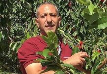 Terrorist verantwoordelijk voor moord op 17-jarig Israelisch meisje ontving financiële steun van Nederland