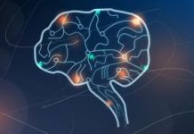 Universiteit van Tel Aviv ontdekt overlap tussen, aan autisme-gerelateerde mutaties en Alzheimer