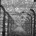 170369_1768892297528_6241160_o