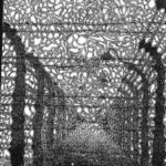 170369_1768892297528_6241160_o