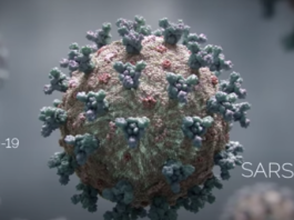 Coronavirus